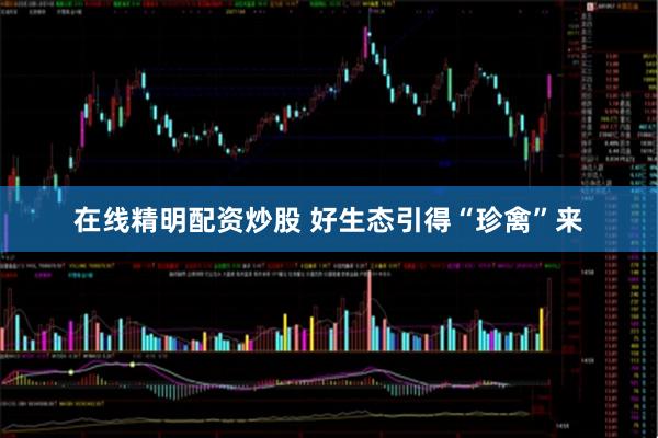 在线精明配资炒股 好生态引得“珍禽”来